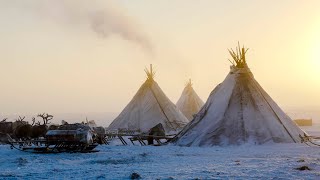 A Tent in Arctic Siberia  Living Moving and Making a Reindeer Skin Tent [upl. by Slosberg]