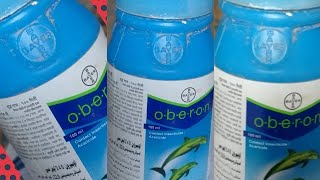 BAYER OBERON INSECTICIDEবায়ার ওবিরন কীটনাশক [upl. by Ecurb]