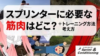 短距離走に最も必要な筋肉と筋力トレーニング方法【＋スプリンターの筋トレへの考え方】 [upl. by Maccarthy]