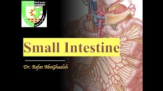 Anatomy of Small Intestine Duodenum Jejunum and Ileum [upl. by Yenruogis]