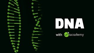 DNA Introduction length structure Double Helix Model [upl. by Chi]