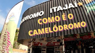 COMO É O CAMELÓDROMO DA CIDADE DE ITAJAÍ [upl. by Aiyot191]