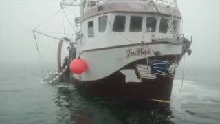 Pêche au hareng à la senne  Herring fishing Blanc Sablon BasseCôteNord du Québec [upl. by Ennairrac]