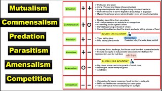 Symbiotic Relationship  Mutualism commensalism predation parasitism amensalism competition [upl. by Cristobal]