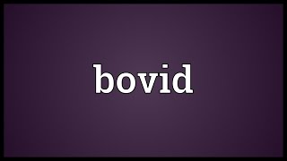 Bovid Meaning [upl. by Robina]