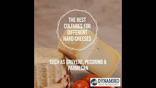 The best cultures for different hard cheeses [upl. by Flaherty]