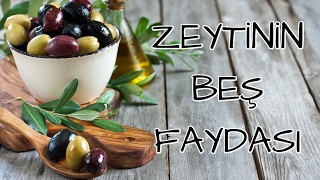 Zeytinin Beş Faydası [upl. by Fritzie608]