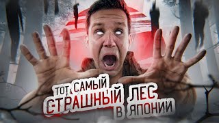 ТОТ САМЫЙ СТРАШНЫЙ ЛЕС В ЯПОНИИ ПРОВЕЛ ТАМ НОЧЬ  GhostBuster [upl. by Ettenot]