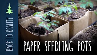 Square Paper Seedling Pots  Quick Easy and Biodegradable [upl. by Ecnal]