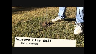 IMPROVE CLAY SOIL  5 Step Strategy to better grass growth and drainage [upl. by Alick317]