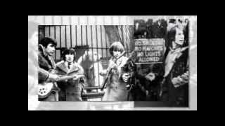 The Troggs  Louie Louie 1966 [upl. by Bennink]