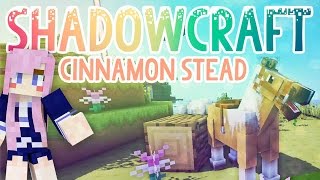 Cinnamon Stead  Shadowcraft 20  Ep13 [upl. by Medorra514]