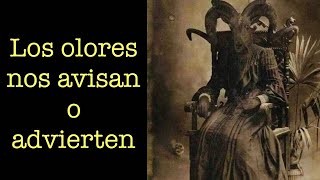 LOS OLORES NOS AVISAN O ADVIERTEN [upl. by Adnilram466]