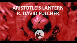 quotAristotles Lanternquot by R David Fulcher [upl. by Enreval]