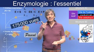 Enzymologie  lessentiel de ce quil faut en savoir [upl. by Gold]