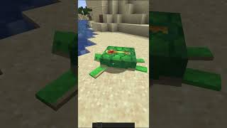 Minecraft Key Turtle [upl. by Keemahs52]