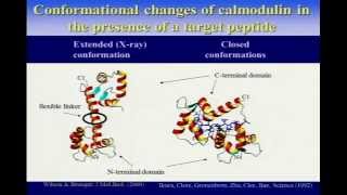 WeNMR lecture on paramagnetic NMR and demo of the MAXOCC portal by Prof A Rosato [upl. by Skantze252]