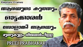 ആനയുടെ കുത്തും ഓട്ടക്കാരൻ സോളാങ്കി ആനയും  Muthukulam Vijayan Pillai  Elephant Frames  PART 6 [upl. by Lenni]