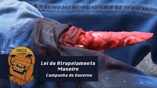 Lei do Atropelamento Maneiro  Campanha do Governo [upl. by Anniroc461]