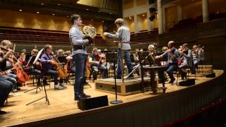 R Strauss Horn Concerto No 1  Royal Stockholm Philharmonic Orchestra  Martin Schöpfer [upl. by Aklim326]