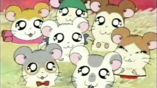 Hamtaro Japanese OP [upl. by Nere801]