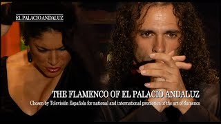 Flamenco Show  Tablao Flamenco El Palacio Andaluz [upl. by Eirolam]