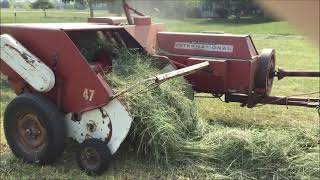 Baling 1st Crop 2023 With A Farmall 560D amp IH 47 Baler [upl. by Adnirim]