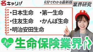 生命保険業界の業界研究日本生命第一生命明治安田生命住友生命かんぽ生命）【23卒完全版】名キャリ就活vol355 [upl. by Ahsetal]