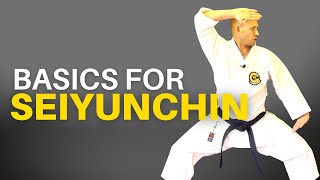 Seiyunchin Kata Basics for Goju Ryu [upl. by Kabab931]