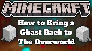 How to Bring a Ghast Back to the Overworld 117 [upl. by Elana]