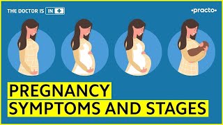 Pregnancy Symptoms and Stages1st 2nd and 3rd Trimester  Practo [upl. by Perrin45]