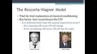 PSYC 370 Video Lecture  The Rescorla Wagner Model [upl. by Yznyl477]