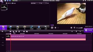 Using Wondershare Video Editor [upl. by Attikram]