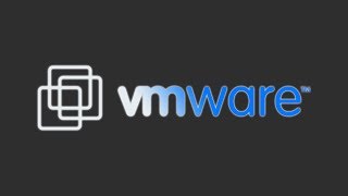 How to Fix VMWare ESXi vSphere Error Failed to open disk scsi00 Unsupported or invalid disk type 7 [upl. by Llerrud358]