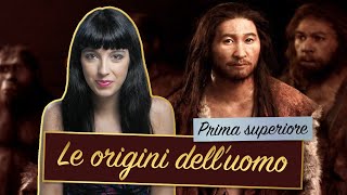 EVOLUZIONE DELLUOMO  DALLHOMO HABILIS ALLHOMO SAPIENS  PREISTORIA [upl. by Adnilem]