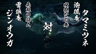 【MHRise】縄張り争い集Ver111（汎用モーション除く） [upl. by Adele]