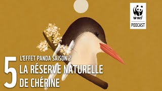 La Réserve Naturelle de Chérine  LEffet Panda saison 2  un podcast WWF [upl. by Fagin43]