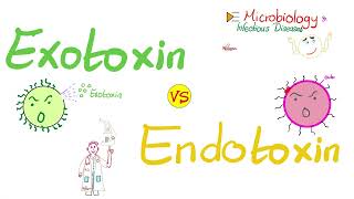 Exotoxins vs Endotoxins  Microbiology 🧫 amp Infectious Diseases 🦠 [upl. by Pren]