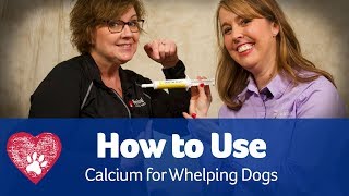 Whelping with Calcium Pet Care Pro Show [upl. by Feriga]