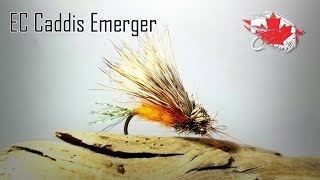 Friday Night Flies  EC Caddis Emerger [upl. by Robma173]