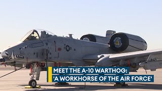 Meet the A10 Warthog The US Air Forces iconic workhorse [upl. by Anceline]