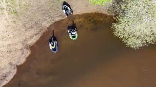 Spots de Pêche en Gironde  Episode 9  La Leyre [upl. by Dviad]