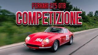 Driving a Ferrari 275 GTB Competizione [upl. by Hauge]