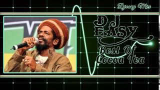 Cocoa Tea Best of The Best Greatest Hits mix by djeasy [upl. by Akilak]