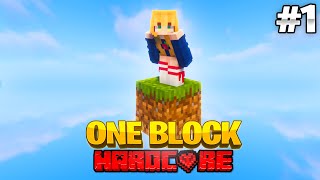 Minecraft One Block Skyblock but it’s HARDCORE 1 [upl. by Nerua]