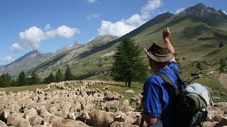 Grandeur Nature  La Transhumance  Documentaire Animalier [upl. by Eide305]