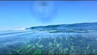 SCORING GLASSIEST NORTHERN REEF EXTREMELY SHALLOW TURNS BARRELS [upl. by Thorlay427]