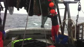 Groundfishing in Jeffreys Ledge Gulf of Maine [upl. by Muhammad553]