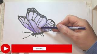 Come disegnare una farfalla che vola Tutorial [upl. by Nahtnaoj]