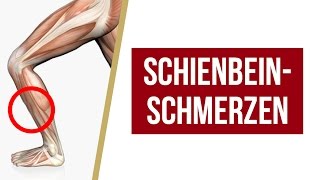 Schienbeinschmerzen  Übungen  Tipps von Liebscher amp Bracht  Faszienrolle Engpaassdehnungen [upl. by Tobi]